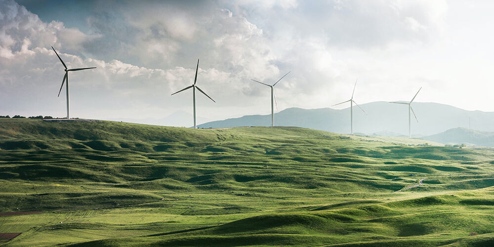 sustainability_green-landscape